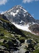 6° Gran Zebrù 2